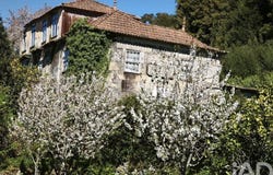 Cerdal, Viana Do Castelo 4930