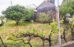 Arrifana, Coimbra District
