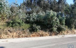 Leiria, Leiria 2410-503