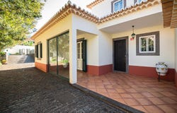 Canhas, Madeira 9360