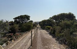 Ferrel, Leiria 2520