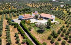 Moura, Beja