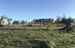 EM526-1, Faro, Algarve 8365