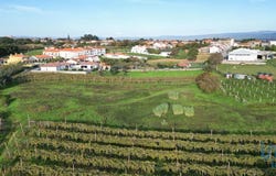 Sangalhos, Aveiro Municipality 3780