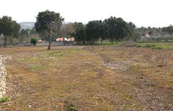 Leiria, Leiria District