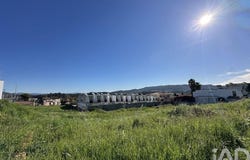 Braga, Braga