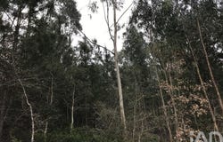 Leiria, Leiria District