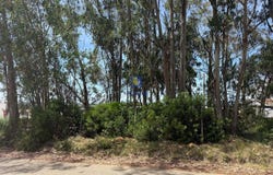 Nadadouro, Leiria District