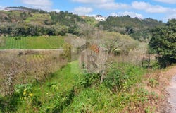 Caldas da Rainha, Leiria District