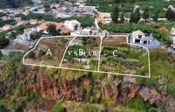 Ponta Do Sol, Madeira 9350
