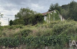 Vila Real, Vila Real District
