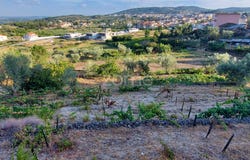 Moimenta da Beira, Viseu District