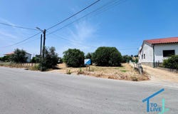 Tomar, Santarém District 2300-385