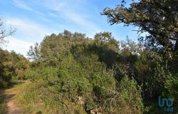 Ferreira do Zêzere, Santarém 2240-102