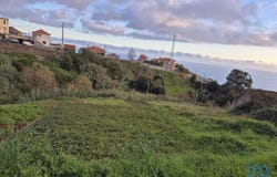 Ilha da Madeira, Madeira