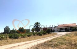 Vidigueira, Beja District