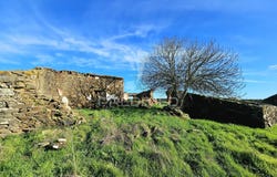 Ourique, Ourique, Beja District 7670