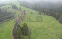 Algarvia, Azores