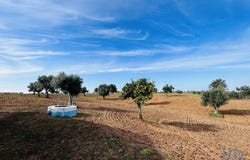 Beja, Beja District