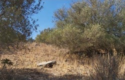 Paderne, Algarve