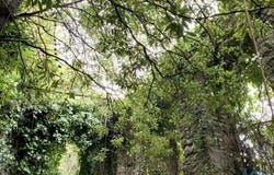 Sintra, Lisboa 2710-593