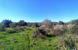 Faro, Algarve