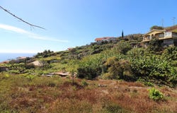Ilha da Madeira, Madeira