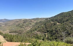 Vila Seca e Santo Adrião, Viseu District