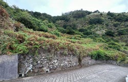 Porto Moniz, Madeira 9270
