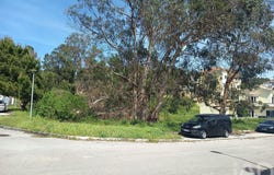 Santarém, Santarém District