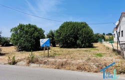 Tomar, Santarém District 2300-385