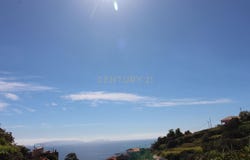 Ilha da Madeira, Madeira