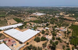 Moncarapacho, Algarve