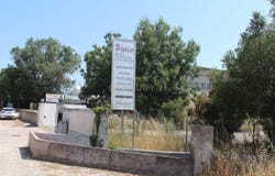 Almargem do Bispo, Lisbon