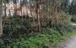 Caldas da Rainha, Leiria District