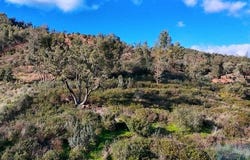 Monchique, Faro 8550
