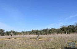 Ferreira do Zêzere, Santarém 2240-300
