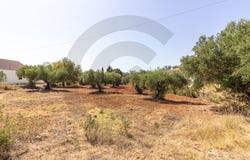 Torres Novas (Santa Maria, Santarém District