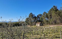 Santar e Moreira, Viseu District