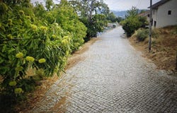 Santo André, Vila Real District