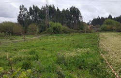 Cacia, Aveiro District