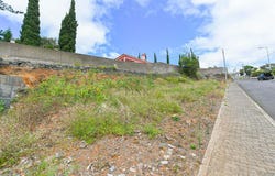 Água De Pena, Madeira 9200