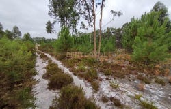 Marinha Grande, Leiria District