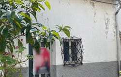 Gouveia, Guarda District