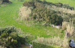 Ilha de São Miguel, Azores