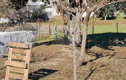 Évora, Évora District 7150