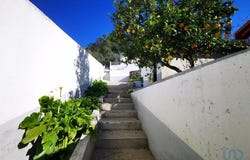 Mira De Aire, Leiria 2485