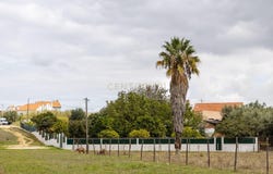 Alverca do Ribatejo e Sobralinho, Lisbon