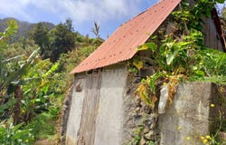 Ilha da Madeira, Madeira