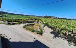 CHORENTE, Braga
